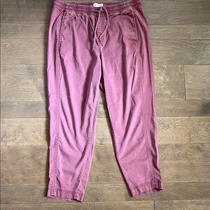 Lou & Gray LOFT Pull On Ankle Pants Cotton Lyocell Drawstring Cranberry Large